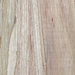 TasmanianOak TasmanianOak